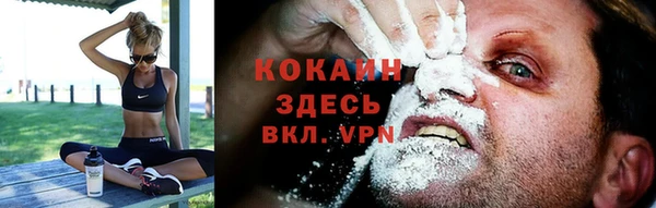 мдпв Бородино