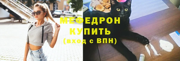 мдпв Богородицк