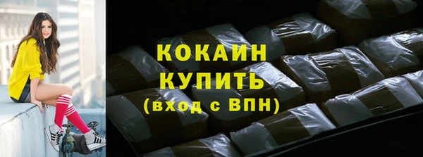 мдпв Бородино