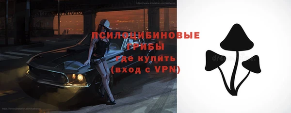 МДМА Богданович