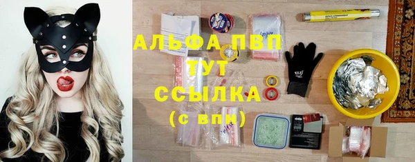 мдпв Богородицк