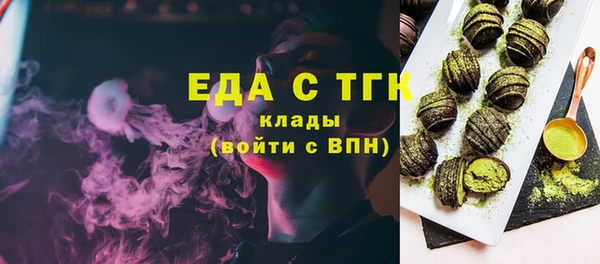 мдпв Бородино
