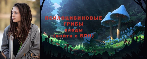 мдпв Богородицк