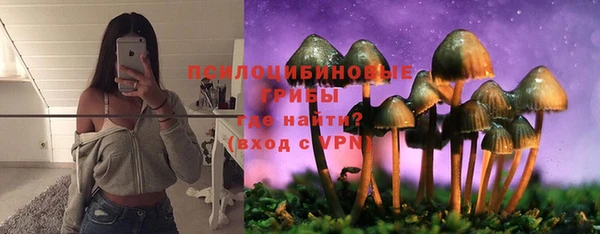 мдпв Богородицк