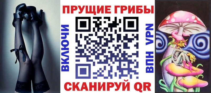 Купить  Новозыбков  Галлюциногенные грибы Magic Shrooms 